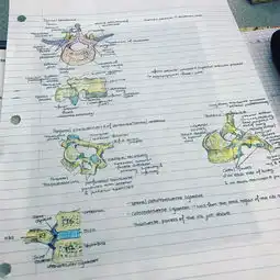 医学生如何做英文生理学医学笔记