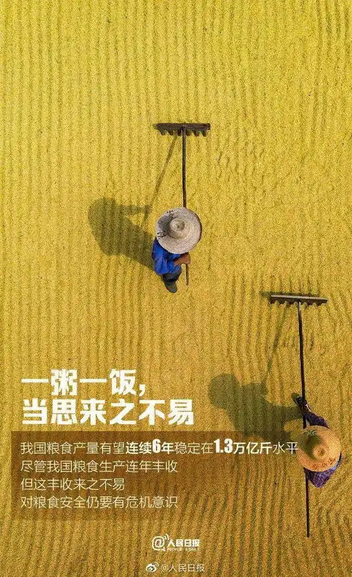 关注世界粮食日,拒绝舌尖上的浪费