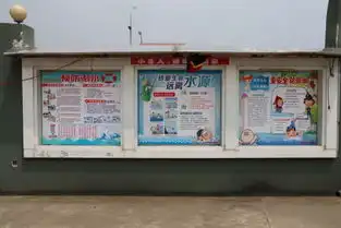 预防溺水,守护生命之花