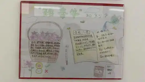 心中播绿,森入人心丰师附小助力丰台创森成果展示