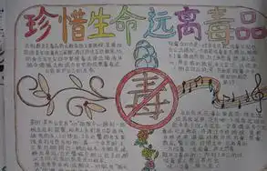 禁毒手抄报