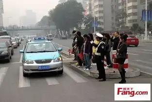 天津99座安全岛上岗行人夸赞称好