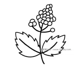 一组漂亮的小花简笔画图片