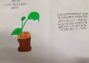 投票自然笔记征集你遇见的惊蛰春分4668号作品
