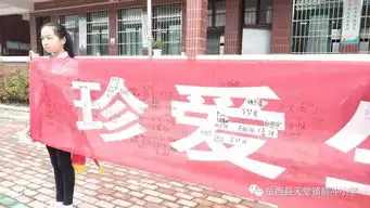 防溺水丨百人郑重签名构筑安全屏障天堂前冲小学举行防溺水签名活动
