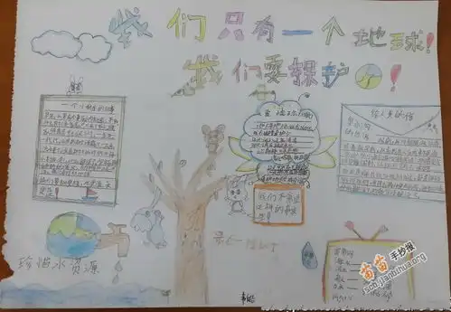 我们只有一个地球环保手抄报图片大全内容
