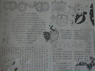 世界无烟日手抄报戒烟记