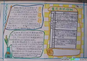 巧查脚印破命案