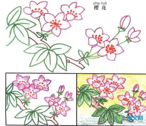 黑板报樱花简笔画
