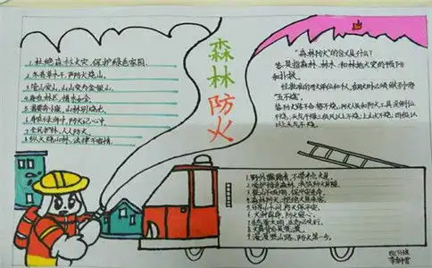 金士顿datatraveler写保护2020森林防火内容怎么写森林防火手抄报一等奖