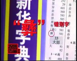 湖北300万学生领盗版字典采购价格高于零售价新闻频道