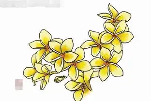 黑板报花边鸡蛋花花边