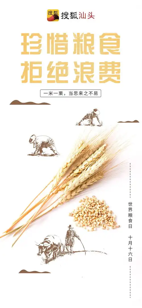 世界粮食日珍惜粮食,拒绝浪费