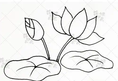 简单易学夏天主题素材简笔画大全,画在手抄报或手账本上吧
