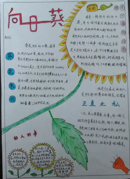 向日葵手抄报既简单又漂亮