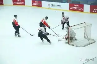 冰雪头条达沃斯冰雪小镇继续狂掀中国热浪阿里巴巴助百年奥运首次走向云端l北京冬奥组委祝贺阿里巴巴成为top伙伴