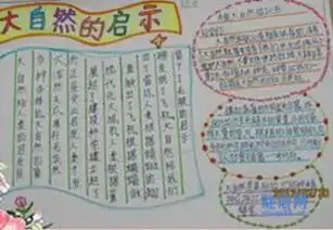 在手抄报上写大自然的秘密怎么写好看