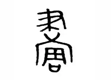 画汉字的起源与演变小学一年级语文生字第40集