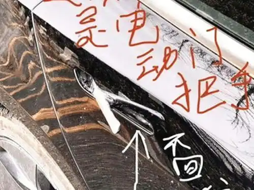 特斯拉model3被宠坏了车主气得想砸车30多万买了个爹