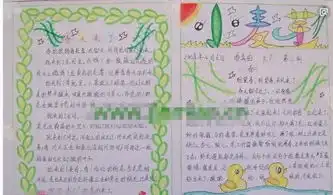 寻找春天的手抄报内容
