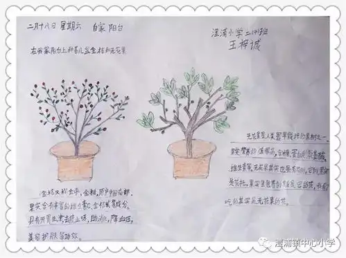 春天在哪里呀春天在哪里快来看绿眼睛发现之旅