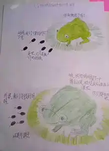 作为一只青蛙,我容易吗