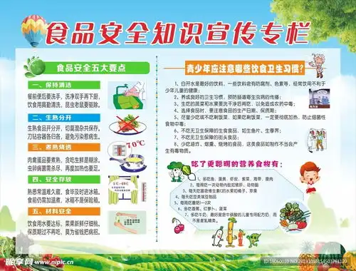 食品安全知识展板设计图