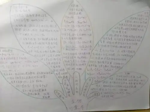 笔记大赛结果公布啦快来看看有没有你吧