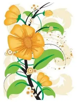 黑板报花边微笑的花