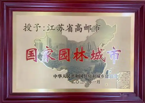 刚刚高邮又获得一枚奖牌...