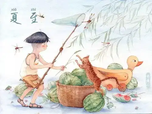 二十四节气之夏至荷气夜来雨,百鸟清昼迟