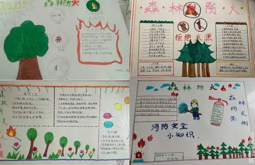 防范森林火灾共建美好家园