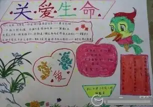 热爱生命的手抄报大全