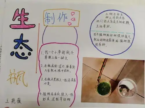 让自然世界更美好本真部五年级科学生态系统手抄报展示