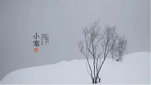 小寒来了,除了保暖,你还要知道这些