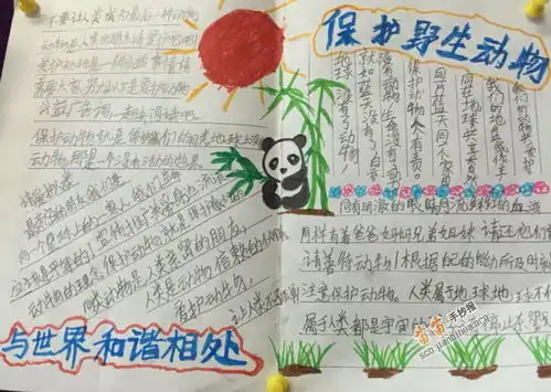 保护动物手抄报图片大全资料