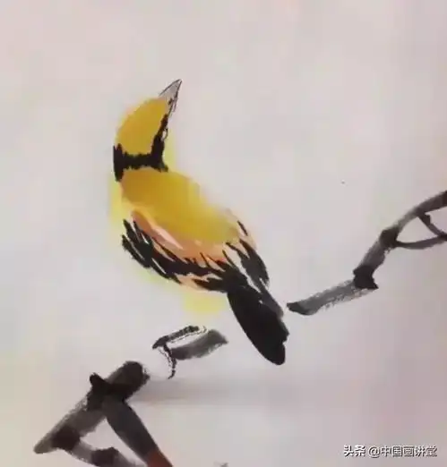 花鸟教程学画黄鹂鸟
