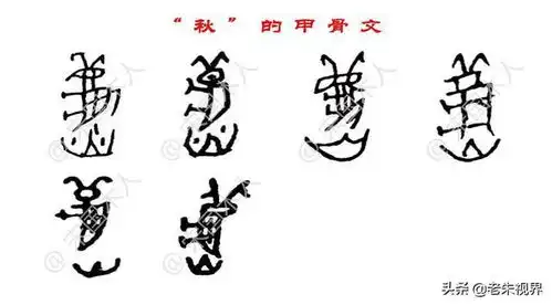 秋汉字的起源与演变小学一年级语文生字第68集