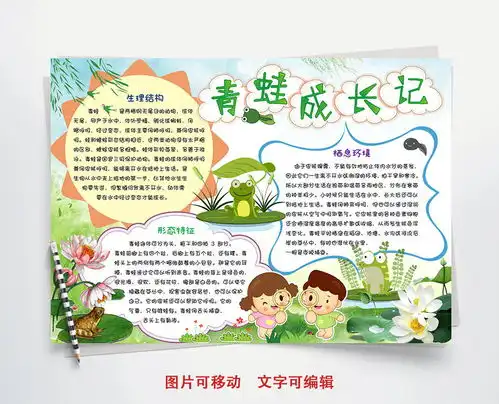 青蛙手抄报大全