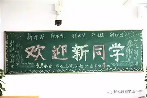 新起点新梦想衡水志臻实验中学2017迎新生板报集锦