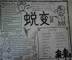 军训手抄报军训600字