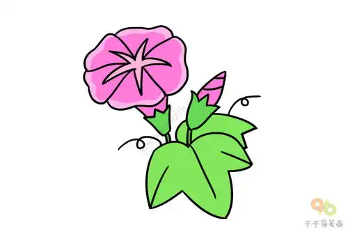 花朵简笔画大全集简单易学