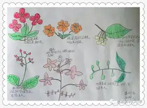 春天在哪里呀春天在哪里快来看绿眼睛发现之旅