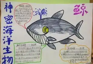 我眼中的中国海青岛南京路小学海洋教育系列活动海洋知识手抄报分享会