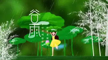 二十四节气雨水视频素材二十四节气雨水视频模板下载熊猫办公