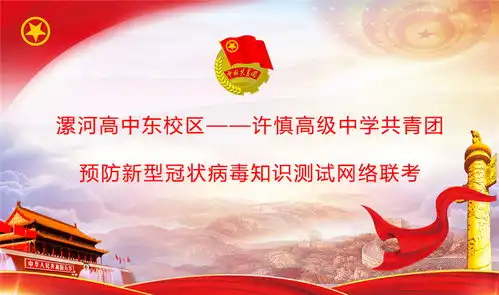 党旗所指团旗所向许慎高级中学共青团抗疫纪实