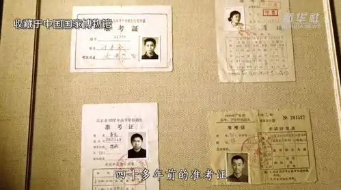 这一年的高考准考证,注定被历史铭记红色百宝第77集
