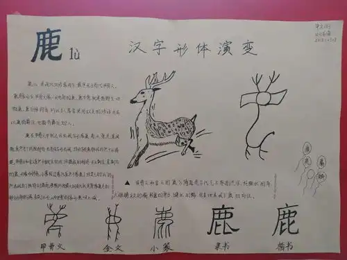 汉字与中国文化教学实践一