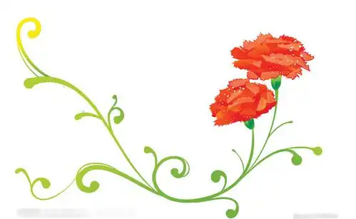 黑板报花边康乃馨花边