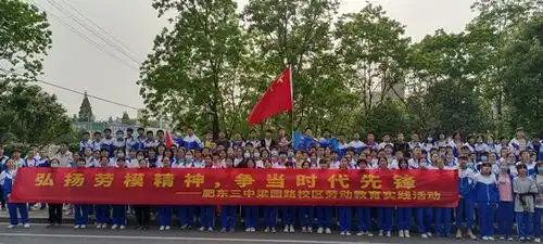肥东三中梁园路校区开展劳动教育实践活动